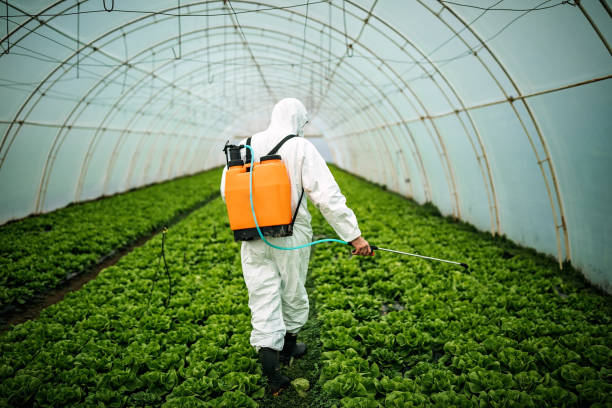 Best Pest Control Near Me  in Forest Lake, IL