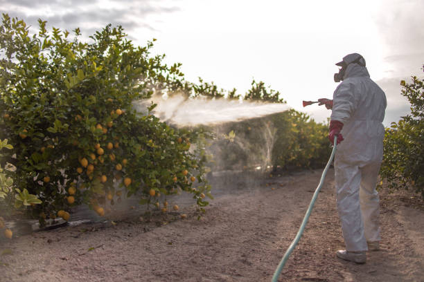 Best Wasp Removal Services  in Forest Lake, IL