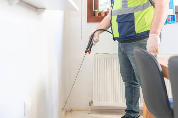 Best Wasp Removal Services  in Forest Lake, IL