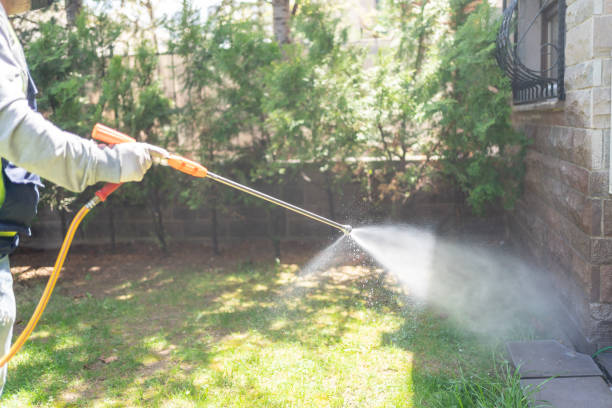Best Pest Control for Restaurants  in Forest Lake, IL