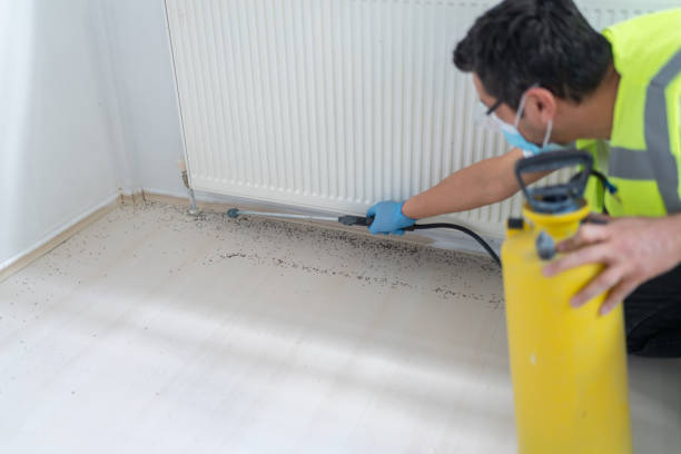 Best Pest Inspection Near Me  in Forest Lake, IL